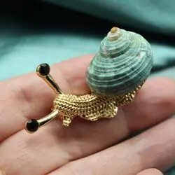 Брошь в виде улитки