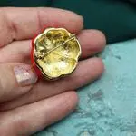 Броши овощи