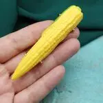 Броши овощи