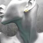 Жемчужные гвоздики